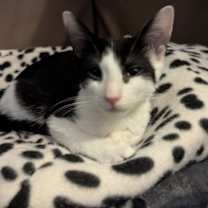 Thumbnail photo of Clay #2