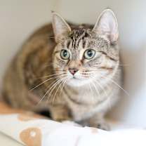 Thumbnail photo of Elora #1