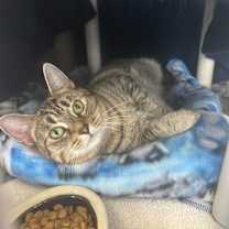 Thumbnail photo of Elora #2