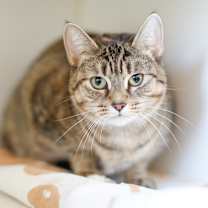 Thumbnail photo of Elora #3