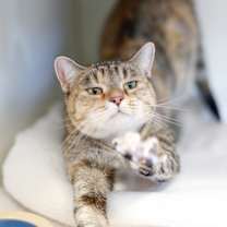 Thumbnail photo of Elora #4