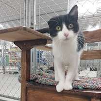 Thumbnail photo of Monet #4