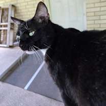 Thumbnail photo of Charlie #2