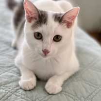 Thumbnail photo of Darrin #1