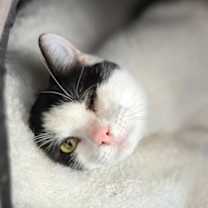 Thumbnail photo of Jill #2