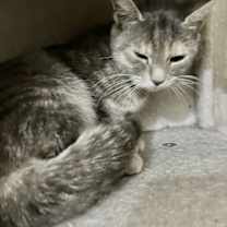 Thumbnail photo of Raquel #3