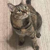 Thumbnail photo of Jodi- Della #2