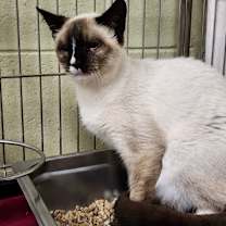 Thumbnail photo of Luca #2