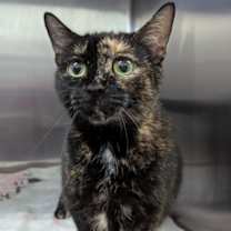 Thumbnail photo of Emily #2