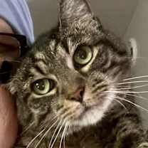 Thumbnail photo of Baby #2