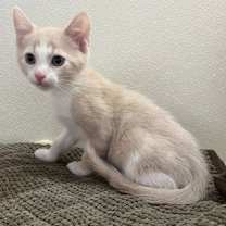 Thumbnail photo of Dean #2