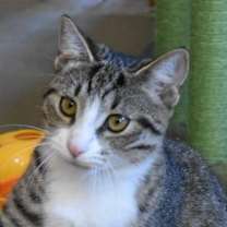 Thumbnail photo of Parsley #1