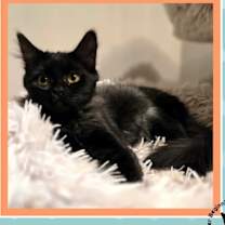 Thumbnail photo of Camille #2