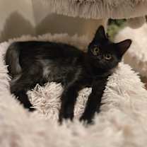 Thumbnail photo of Camille #4