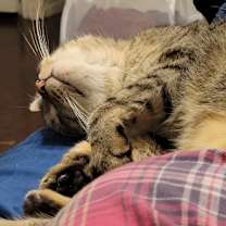 Thumbnail photo of Nani #1