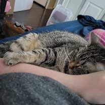 Thumbnail photo of Nani #2