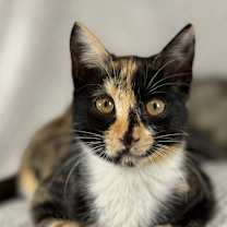 Thumbnail photo of Wanda #2