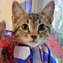 Thumbnail photo of Frazier #2