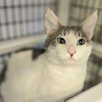 Thumbnail photo of Harold #3