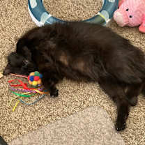 Thumbnail photo of Emerald #3