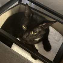 Thumbnail photo of Bret #2