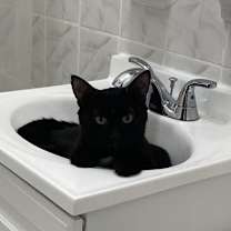 Thumbnail photo of Bret #3