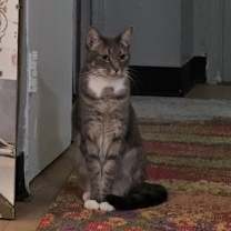 Thumbnail photo of Indiana #2