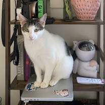 Thumbnail photo of Kira #4