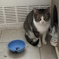 Thumbnail photo of Tabitha #4