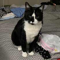 Thumbnail photo of Nilah #4