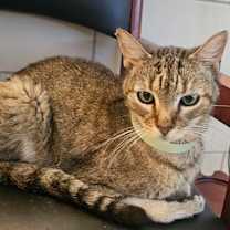 Thumbnail photo of Baby #1