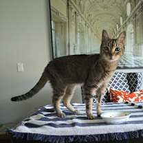 Thumbnail photo of Baby #2