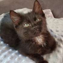 Thumbnail photo of Jude #2