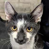 Thumbnail photo of Terry #1