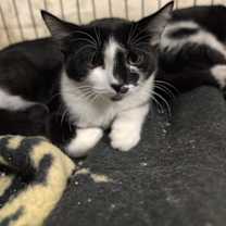 Thumbnail photo of Darryl #2