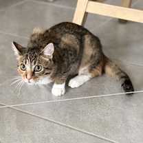 Thumbnail photo of Storm #3