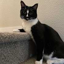 Thumbnail photo of Charlie #1