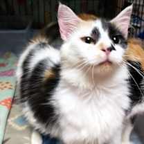 Thumbnail photo of Kellie Anne #1