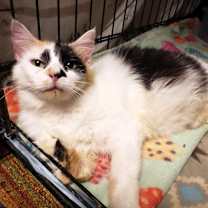 Thumbnail photo of Kellie Anne #2