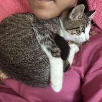 Thumbnail photo of Glacier #3