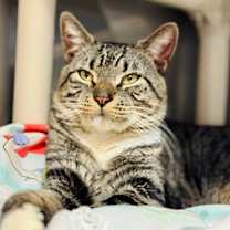 Thumbnail photo of Jax #2