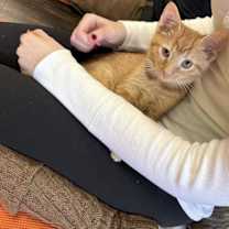 Thumbnail photo of Ed and Edd #1