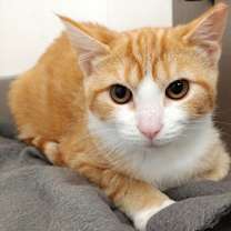 Thumbnail photo of Barbara #2