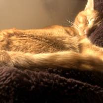 Thumbnail photo of Wendell and Theodore #4