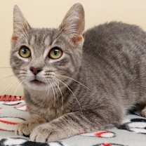 Thumbnail photo of Noel #2