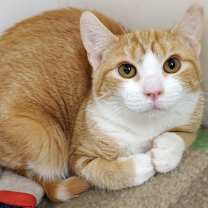 Thumbnail photo of Barbara #1