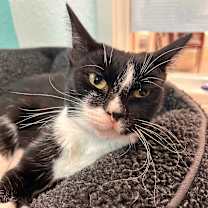 Thumbnail photo of Ellen #1