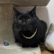 Thumbnail photo of Monroe #2