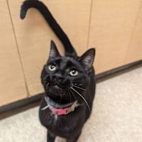 Thumbnail photo of Eva #1