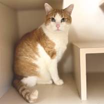 Thumbnail photo of Delilah #1